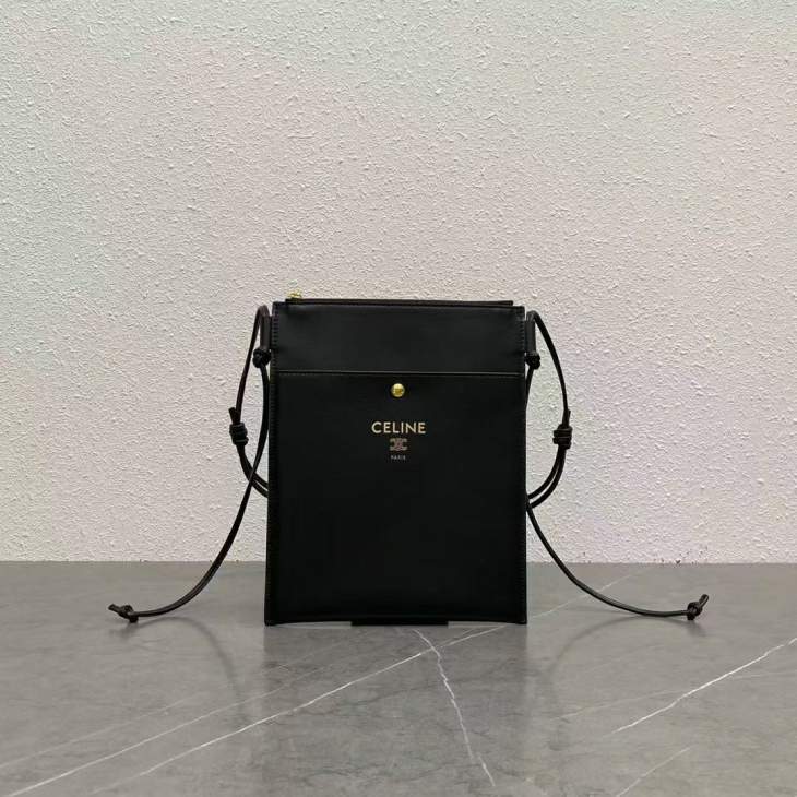 Picture of Celine Handbags _SKUfw230110249fw